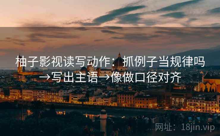 柚子影视读写动作：抓例子当规律吗→写出主语→像做口径对齐